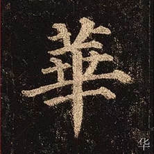 640 (4).webp (4).jpg