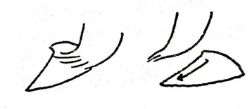 640.webp (2).jpg
