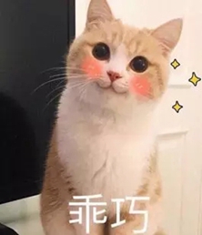 640.webp.jpg