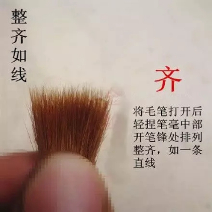 640 (2).webp (3).jpg