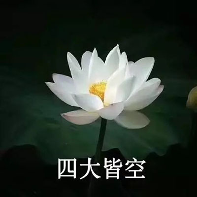 微信图片_20191220094318 拷贝.jpg